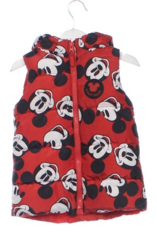 Παιδικό γιλέκο Disney, Μέγεθος 18-24m/ 86-98 εκ., Χρώμα Πολύχρωμο, Τιμή 11,00 €