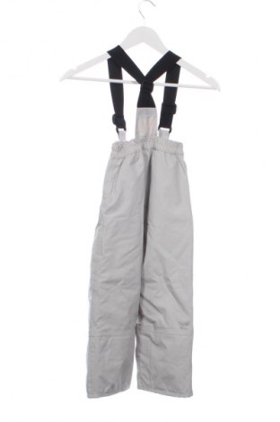 Παιδική σαλοπέτα για χειμερινά σπορ Dare 2B, Μέγεθος 5-6y/ 116-122 εκ., Χρώμα Γκρί, Τιμή 75,29 €