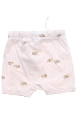 Dziecięce szorty H&M, Rozmiar 3-6m/ 62-68 cm, Kolor Kolorowy, Cena 38,38 zł