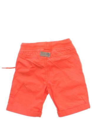 Παιδικό κοντό παντελόνι Tuc Tuc, Μέγεθος 6-9m/ 68-74 εκ., Χρώμα Πορτοκαλί, Τιμή 12,00 €
