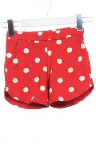 Παιδικό κοντό παντελόνι Unbranded, Μέγεθος 5-6y/ 116-122 εκ., Χρώμα Πολύχρωμο, Τιμή 7,00 €