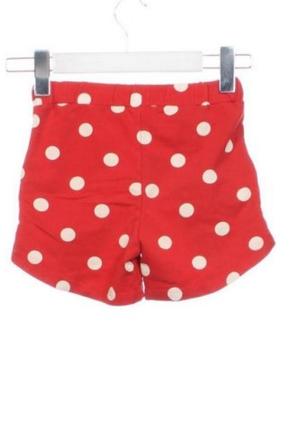 Παιδικό κοντό παντελόνι Unbranded, Μέγεθος 5-6y/ 116-122 εκ., Χρώμα Πολύχρωμο, Τιμή 7,00 €