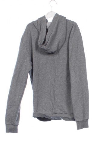 Kinder Sweatshirts PUMA, Größe 13-14y/ 164-168 cm, Farbe Grau, Preis € 21,00