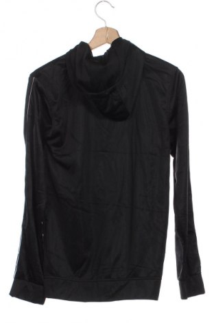 Kinder Sweatshirts Unbranded, Größe 15-18y/ 170-176 cm, Farbe Mehrfarbig, Preis € 339,99