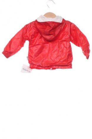 Παιδικό μπουφάν Unbranded, Μέγεθος 9-12m/ 74-80 εκ., Χρώμα Κόκκινο, Τιμή 16,00 €