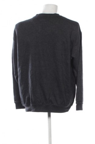 Ανδρική μπλούζα Bolle, Μέγεθος L, Χρώμα Γκρί, Τιμή 25,99 €