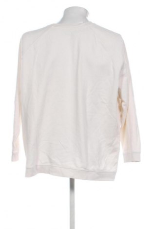 Herren Shirt C&A, Größe XL, Farbe Beige, Preis € 6,99