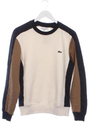 Herren Shirt Lacoste, Größe XS, Farbe Mehrfarbig, Preis € 32,00