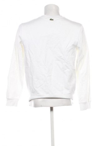 Herren Shirt Lacoste, Größe M, Farbe Weiß, Preis € 88,99