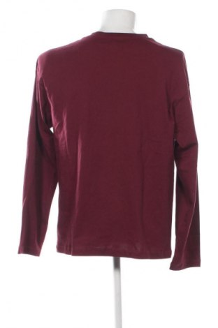 Herren Shirt Tommy Hilfiger, Größe L, Farbe Rot, Preis 49,99 €