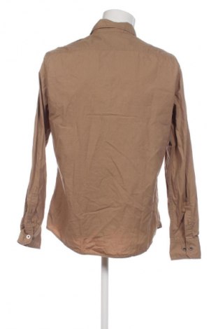 Męska koszula Esprit de Corp, Rozmiar L, Kolor Brązowy, Cena 93,54 zł