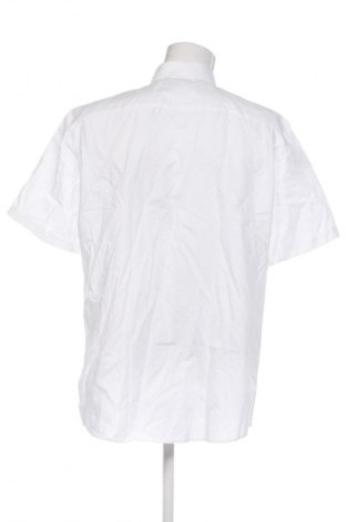 Pánská košile  J.Peterman, Velikost L, Barva Bílá, Cena  409,00 Kč