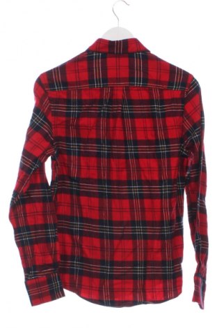 Ανδρικό πουκάμισο Piombo, Μέγεθος S, Χρώμα Πολύχρωμο, Τιμή 17,99 €