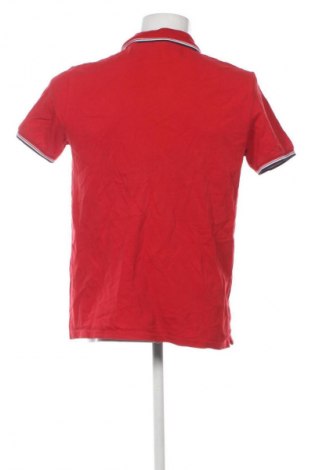 Herren T-Shirt North Sails, Größe L, Farbe Rot, Preis € 23,99