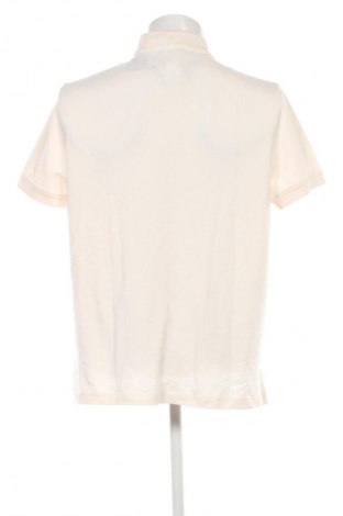 Herren T-Shirt Tommy Hilfiger, Größe XXL, Farbe Ecru, Preis € 89,99