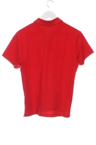 Herren T-Shirt Tommy Jeans, Größe XS, Farbe Rot, Preis € 25,00