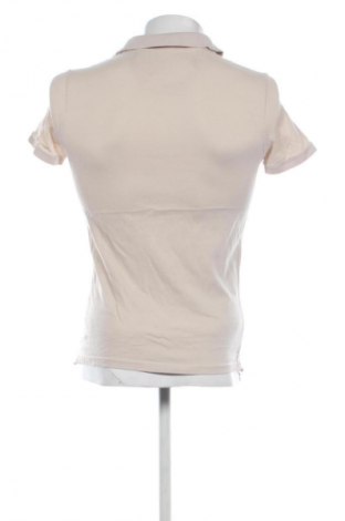 Herren T-Shirt U.S. Polo Assn., Größe S, Farbe Beige, Preis € 25,99