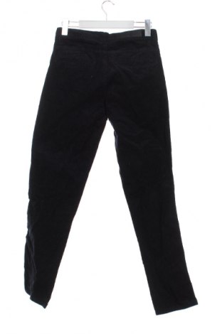 Ανδρικό κοτλέ παντελόνι Rock Creek, Μέγεθος S, Χρώμα Μπλέ, Τιμή 6,99 €