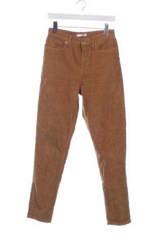 Herren Cordhose Tommy Hilfiger, Größe S, Farbe Braun, Preis € 59,99