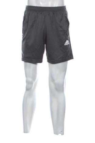 Herren Shorts Adidas, Größe M, Farbe Grau, Preis € 18,99