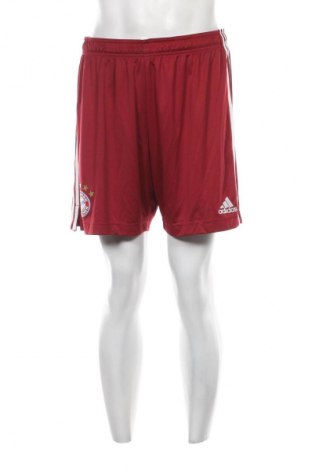 Herren Shorts Adidas, Größe L, Farbe Rot, Preis € 16,99