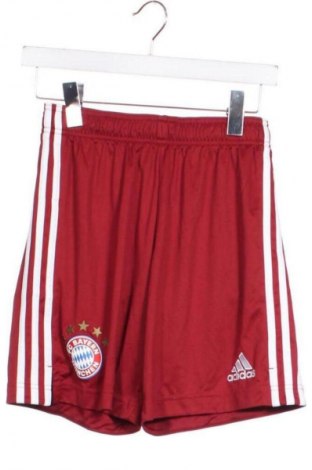 Pantaloni scurți de bărbați Adidas, Mărime XS, Culoare Roșu, Preț 76,99 Lei