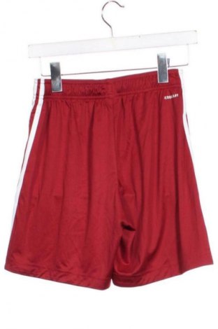 Pantaloni scurți de bărbați Adidas, Mărime XS, Culoare Roșu, Preț 76,99 Lei