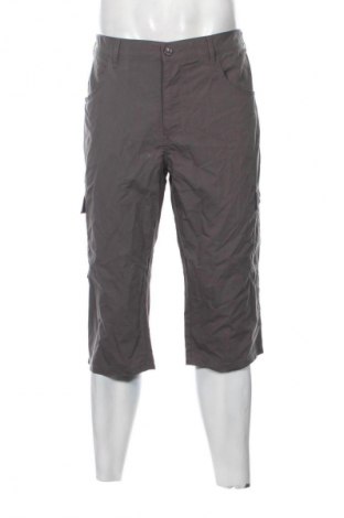 Męskie szorty Catamaran, Rozmiar XL, Kolor Szary, Cena 93,54 zł