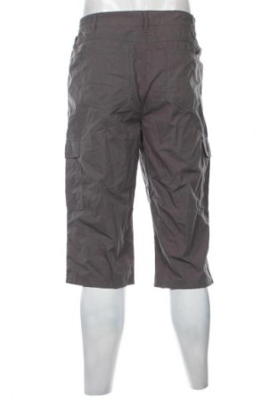 Męskie szorty Catamaran, Rozmiar XL, Kolor Szary, Cena 93,54 zł