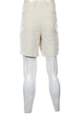 Męskie szorty Cremieux, Rozmiar XXL, Kolor Beżowy, Cena 207,79 zł