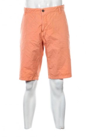 Męskie szorty House, Rozmiar L, Kolor Pomarańczowy, Cena 82,23 zł