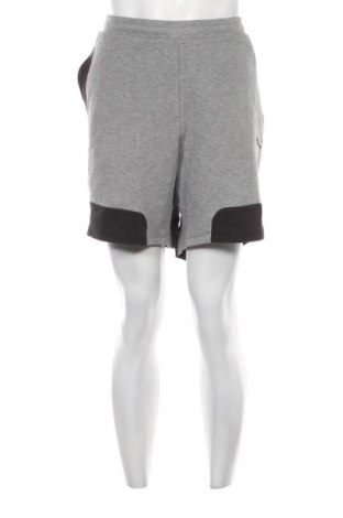 Herren Shorts PUMA, Größe XL, Farbe Mehrfarbig, Preis 16,99 €