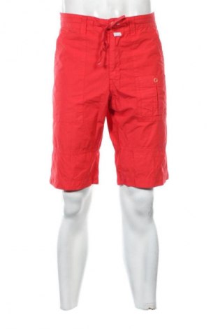 Pánské kraťasy Peter Hadley, Velikost XL, Barva Červená, Cena  482,00 Kč