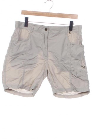 Pánské kraťasy Salewa, Velikost S, Barva Šedá, Cena  897,00 Kč