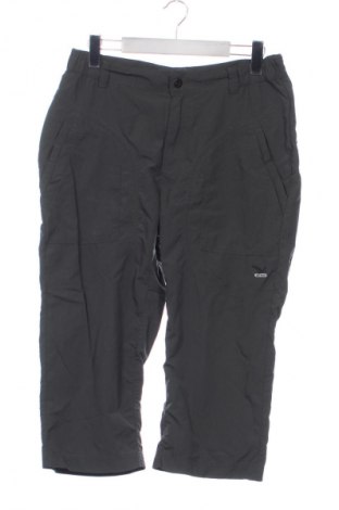 Ανδρικό κοντό παντελόνι Salewa, Μέγεθος S, Χρώμα Πράσινο, Τιμή 24,99 €