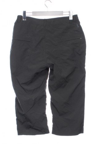 Ανδρικό κοντό παντελόνι Salewa, Μέγεθος S, Χρώμα Πράσινο, Τιμή 24,99 €