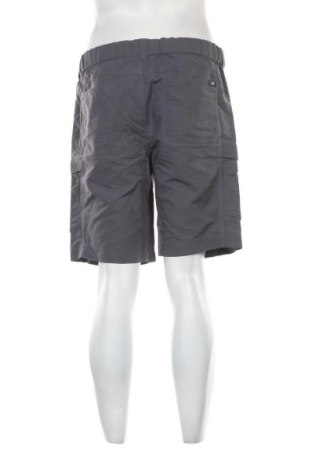 Pánské kraťasy The North Face, Velikost L, Barva Šedá, Cena  709,00 Kč