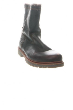 Pánske topánky Panama Jack, Veľkosť 43, Farba Hnedá, Cena  63,95 €