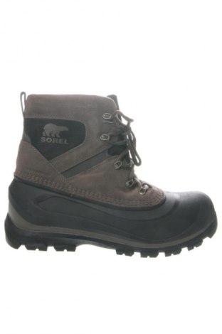 Obuwie męskie Sorel, Rozmiar 45, Kolor Kolorowy, Cena 759,99 zł