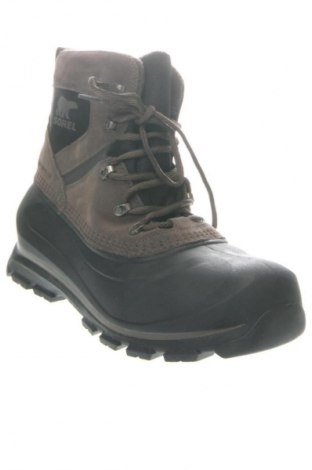 Obuwie męskie Sorel, Rozmiar 45, Kolor Kolorowy, Cena 759,99 zł