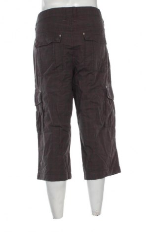 Herrenhose Camel Active, Größe L, Farbe Mehrfarbig, Preis € 22,99