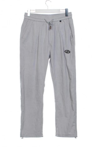 Herrenhose Style & Co, Größe S, Farbe Grau, Preis € 11,99