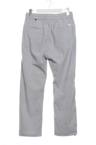 Herrenhose Style & Co, Größe S, Farbe Grau, Preis € 11,99