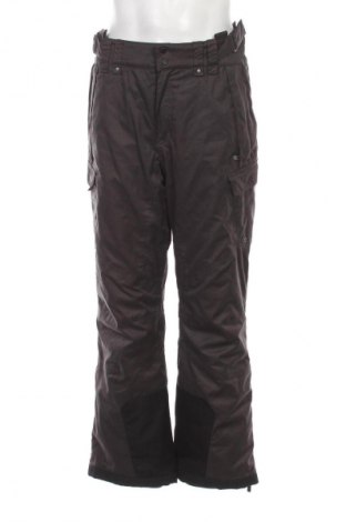 Ανδρικό παντελόνι για χειμερινά σπορ Rodeo, Μέγεθος L, Χρώμα Γκρί, Τιμή 17,99 €