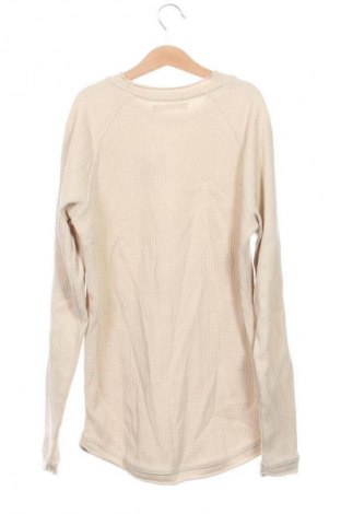 Herrenpullover Bershka, Größe XS, Farbe Beige, Preis € 18,00