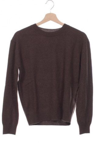 Ανδρικό πουλόβερ Massimo Dutti, Μέγεθος XS, Χρώμα Καφέ, Τιμή 37,99 €