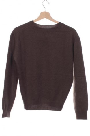 Ανδρικό πουλόβερ Massimo Dutti, Μέγεθος XS, Χρώμα Καφέ, Τιμή 37,99 €