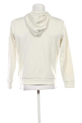 Herren Sweatshirt FILA, Größe S, Farbe Grün, Preis € 83,99