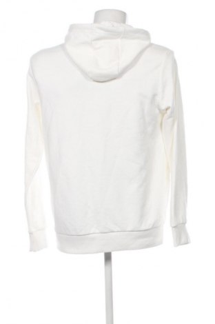 Herren Sweatshirt Much More, Größe M, Farbe Mehrfarbig, Preis € 12,99