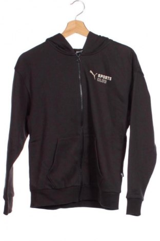 Herren Sweatshirt PUMA, Größe XS, Farbe Schwarz, Preis € 83,99